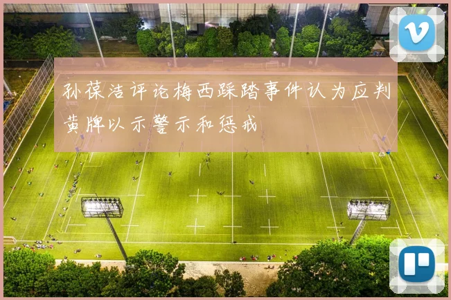 孙葆洁评论梅西踩踏事件认为应判黄牌以示警示和惩戒